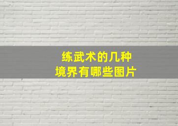 练武术的几种境界有哪些图片