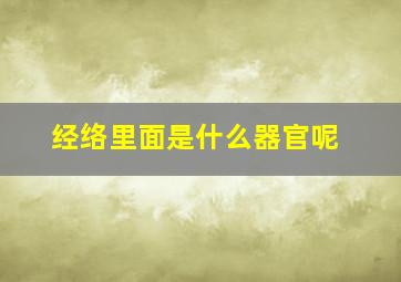 经络里面是什么器官呢