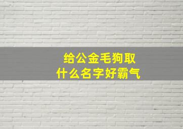 给公金毛狗取什么名字好霸气