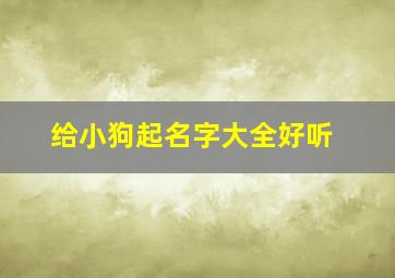 给小狗起名字大全好听