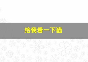 给我看一下猫