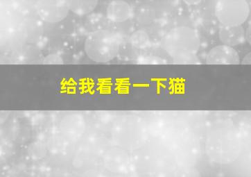 给我看看一下猫