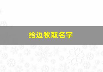 给边牧取名字