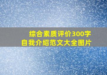 综合素质评价300字自我介绍范文大全图片