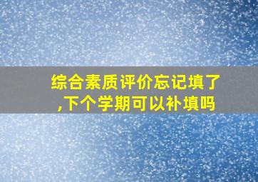 综合素质评价忘记填了,下个学期可以补填吗