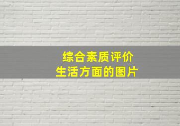 综合素质评价生活方面的图片