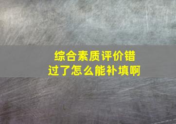 综合素质评价错过了怎么能补填啊