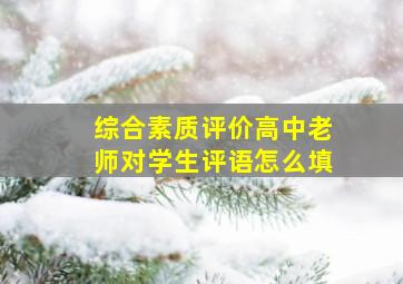 综合素质评价高中老师对学生评语怎么填