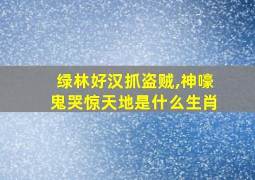 绿林好汉抓盗贼,神嚎鬼哭惊天地是什么生肖