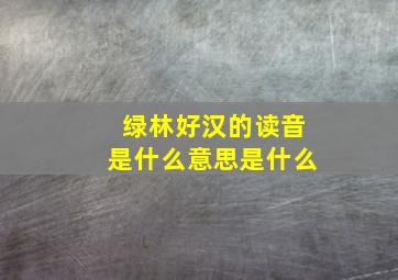 绿林好汉的读音是什么意思是什么