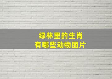 绿林里的生肖有哪些动物图片