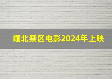 缅北禁区电影2024年上映