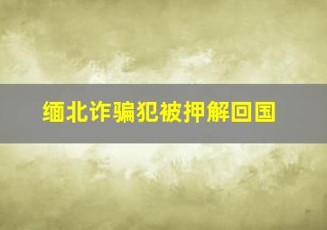 缅北诈骗犯被押解回国