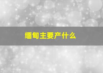 缅甸主要产什么