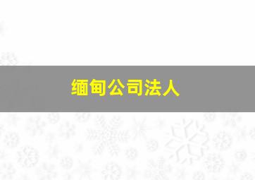 缅甸公司法人