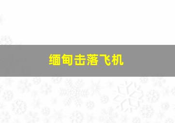 缅甸击落飞机