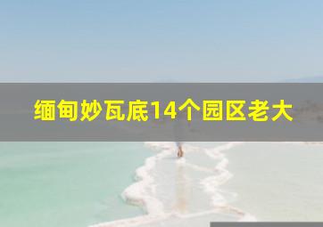 缅甸妙瓦底14个园区老大