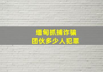 缅甸抓捕诈骗团伙多少人犯罪