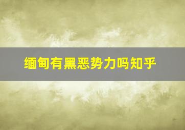 缅甸有黑恶势力吗知乎