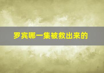 罗宾哪一集被救出来的