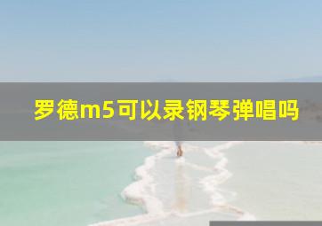 罗德m5可以录钢琴弹唱吗