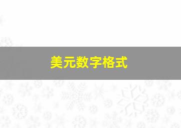 美元数字格式