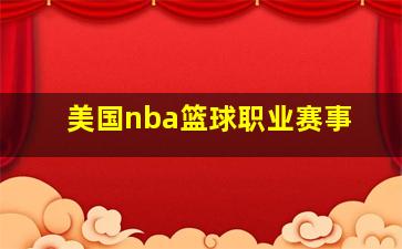 美国nba篮球职业赛事