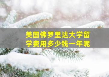 美国佛罗里达大学留学费用多少钱一年呢