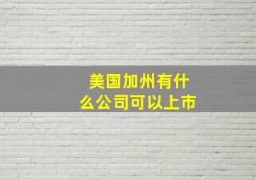 美国加州有什么公司可以上市