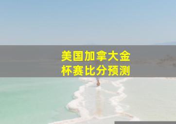 美国加拿大金杯赛比分预测