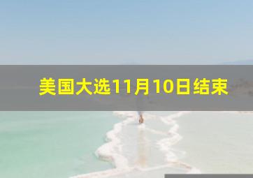 美国大选11月10日结束