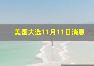 美国大选11月11日消息