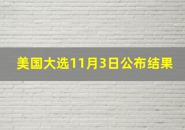 美国大选11月3日公布结果