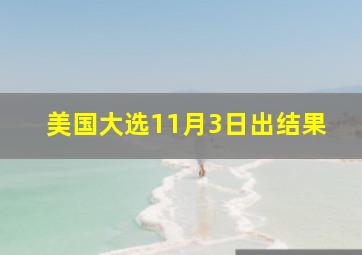 美国大选11月3日出结果