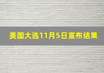 美国大选11月5日宣布结果