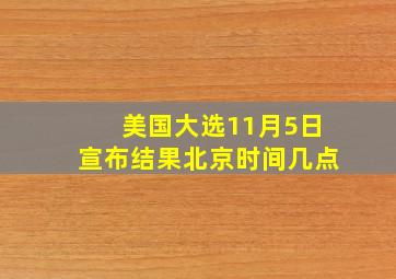 美国大选11月5日宣布结果北京时间几点