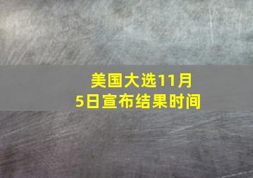 美国大选11月5日宣布结果时间