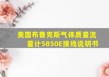 美国布鲁克斯气体质量流量计5850E接线说明书