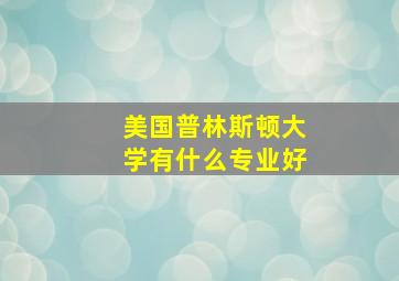 美国普林斯顿大学有什么专业好