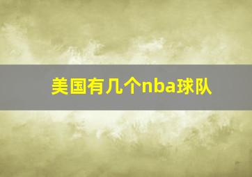 美国有几个nba球队