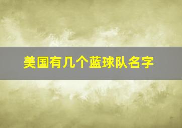 美国有几个蓝球队名字