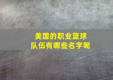 美国的职业篮球队伍有哪些名字呢