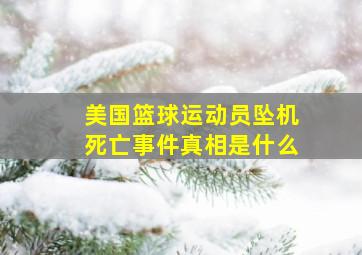 美国篮球运动员坠机死亡事件真相是什么