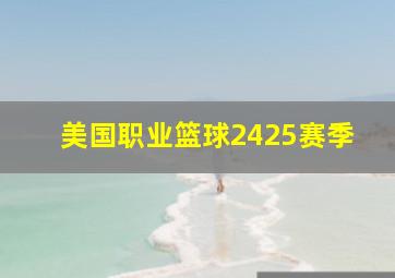 美国职业篮球2425赛季