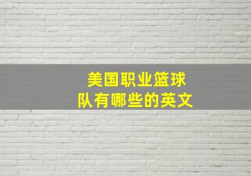 美国职业篮球队有哪些的英文