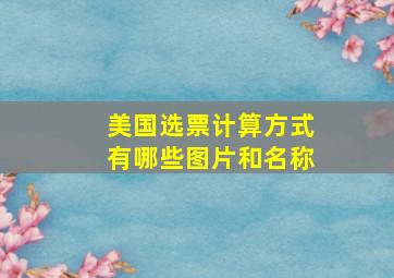 美国选票计算方式有哪些图片和名称