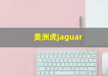 美洲虎jaguar