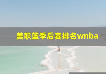 美职篮季后赛排名wnba