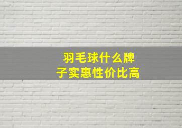 羽毛球什么牌子实惠性价比高