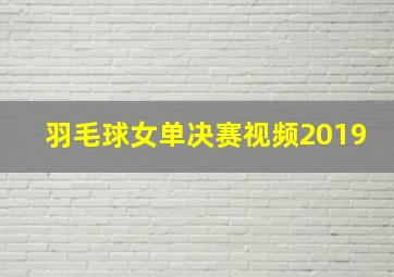 羽毛球女单决赛视频2019